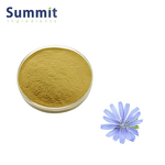 Chicory Root Extract Manufacturer - 4:1~20:1 Pure Herbal Plant