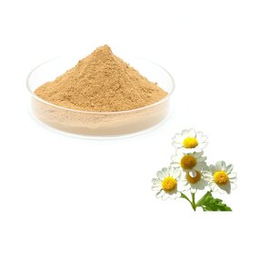 Feverfew Extract Powder Manufacturer - Parthenolide Top Quality
