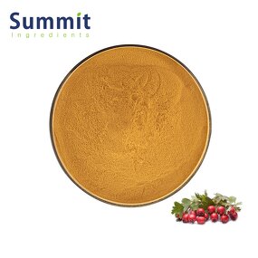 Hawthorn Berry Extract Powder Manufacturer - Organic 10:1