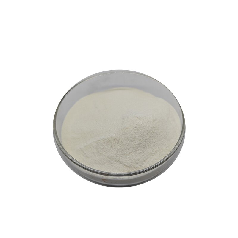 Carbomer Powder Manufacturer - Cosmetic Grade 980 940 CAS 54182-57-9