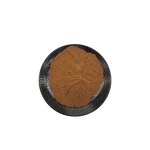 Astragalus Root Extract Powder Manufacturer - Organic