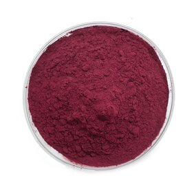 Raspberry Powder Manufacturer - Freeze-Dried for Drink