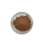 Fructus Sophorae Extract Powder Manufacturer - Reliable Quality