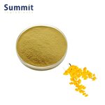 Ginkgo Biloba Extract Powder Manufacturer - Ginkgo Biloba Extract