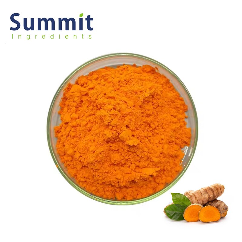 Turmeric Extract Manufacturer - Food Grade Organic Curcumin 95%