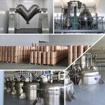 Raspberry Fruit Powder Manufacturer - Food Grade Organic Red Raspberry