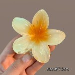 花朵发夹厂家-可定制鲨鱼夹夏季发针
