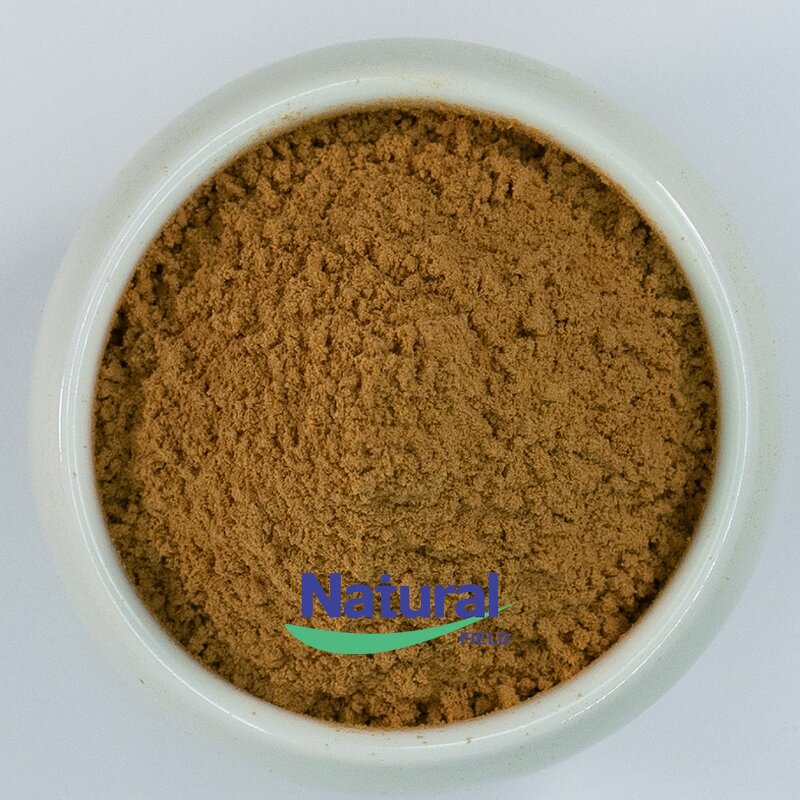 Liposomal Ferrous Glycinate Powder Manufacturer - Food Supplement
