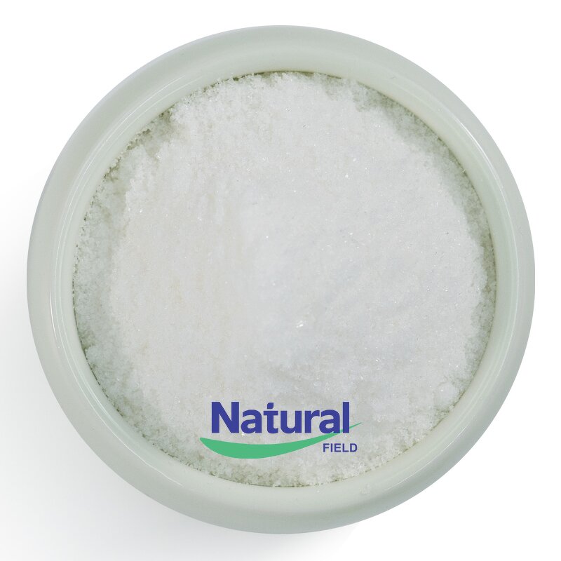 Inulin Powder Manufacturer - 90% Jerusalem Artichoke & Chicory Root Extract