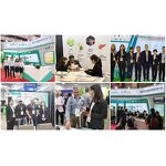 D-Glucosamine Sulfate Powder Manufacturer - Potassium Chloride