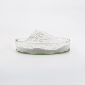 Sodium Hyaluronate Powder Manufacturer - Raw Material for DIY Face Creams & Anti-Aging Serums