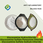 Glucosamine Hydrochloride Powder Manufacturer - >99% Food Grade for Joint Relief CAS 66-84-2