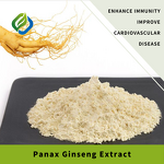 Panax Ginseng Extract Powder Manufacturer - Natural Capsules Raw Material