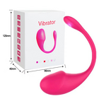 Panty Dildo Manufacturer - Wearable APP Control G-spot Silicone Vibrator