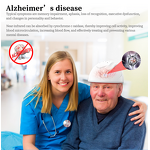 Photobiological Regulation PBM Helmet Manufacturer - 810nm LED 15W for Brain Pain Therapy