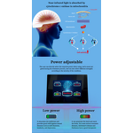 Photobiological Regulation PBM Helmet Manufacturer - 810nm LED 15W for Brain Pain Therapy