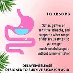 Women Probiotics Gummies Manufacturer - Factory Supply Private Label Herbal Extract for Acid Reflux