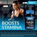 NAD+resveratrol Capsules Manufacturer - Factory Wholesale Private Label for Immune Enhancement