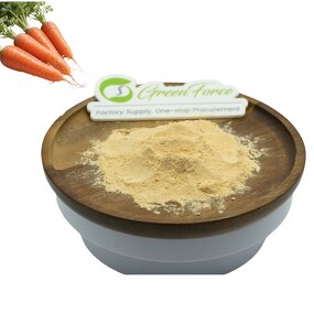 Carrot Powder Manufacturer - Food Grade Natural Flavor for Baking and Meal Replacement
