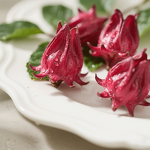 Hibiscus Powder Manufacturer - Factory Supplied Natural Rich in Anthocyanins for Health Foods