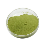 Duckweed Extract Powder Manufacturer - Pharm Grade ISO9001 Certified Wild Available