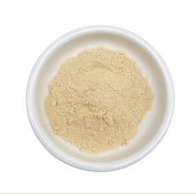 Wheat Germ Extract Manufacturer - Spermidine Powder 0.2% to 1% in Bottles or Drums