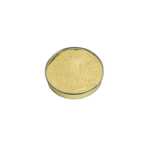 Chitosan Oligosaccharide Manufacturer - 98% Food Grade High Purity CAS 148411-57-8