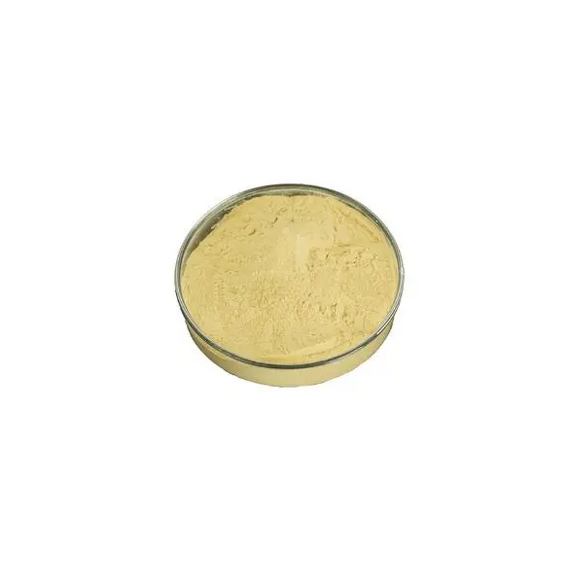 Chitosan Oligosaccharide Manufacturer - 98% Food Grade High Purity CAS 148411-57-8