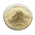 Tea Seed Powder Manufacturer - 98% Vitamin, Food Grade & Drum Packaging