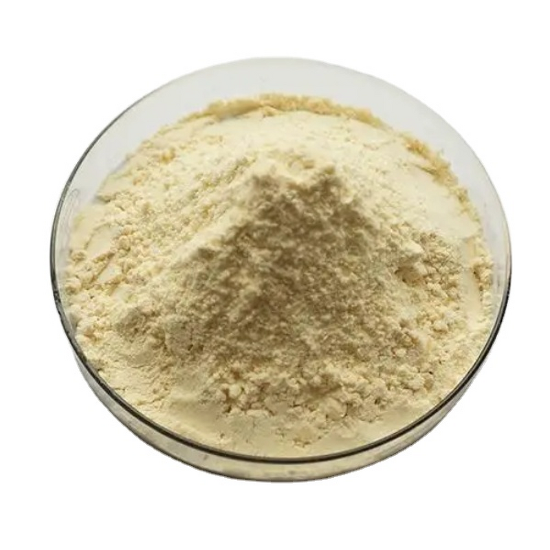 Tea Seed Powder Manufacturer - 98% Vitamin, Food Grade & Drum Packaging