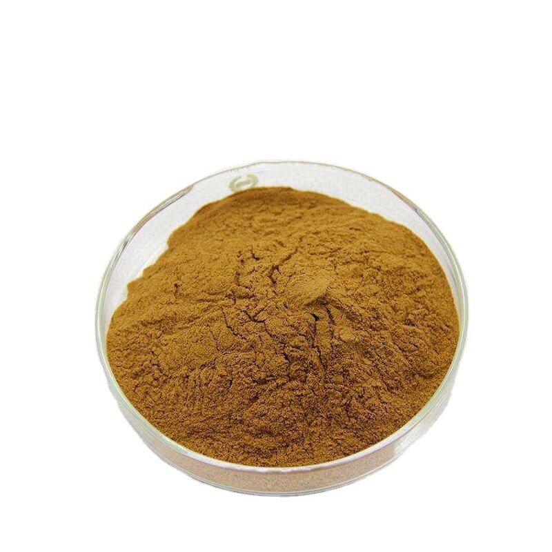 Ashwagandha Extract Manufacturer - 10% Withanolides, Organic Certified Herbal Powder