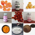 Soy Lecithin Powder Manufacturer - Food Grade High Purity CAS 8002-43-5