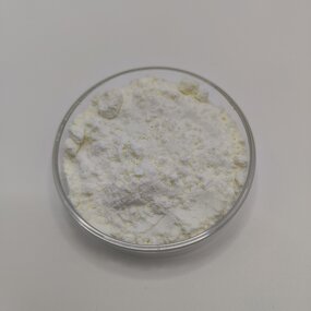 Naringin Powder Manufacturer - Food Grade Citrus Extract CAS 18916-17-1