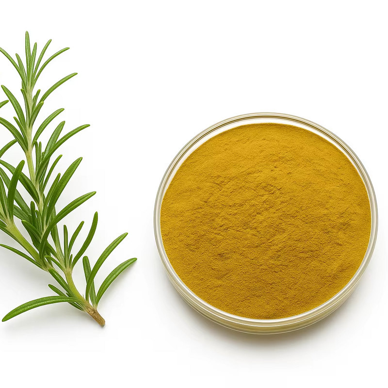 Carnosic Acid Powder Manufacturer - Natural Antioxidant for Food & Cosmetic