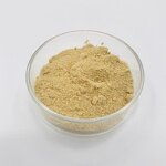 Phosphatidylserine Powder Manufacturer - PS 50% for Cognitive Enhancement & Brain Health