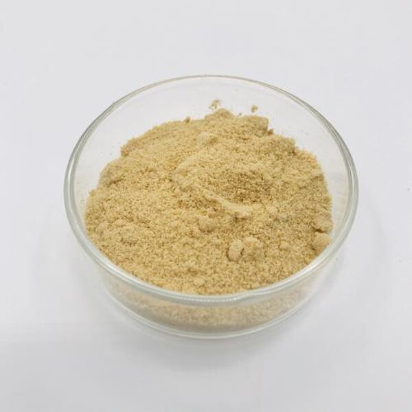 Phosphatidylserine Powder Manufacturer - PS 50% for Cognitive Enhancement & Brain Health