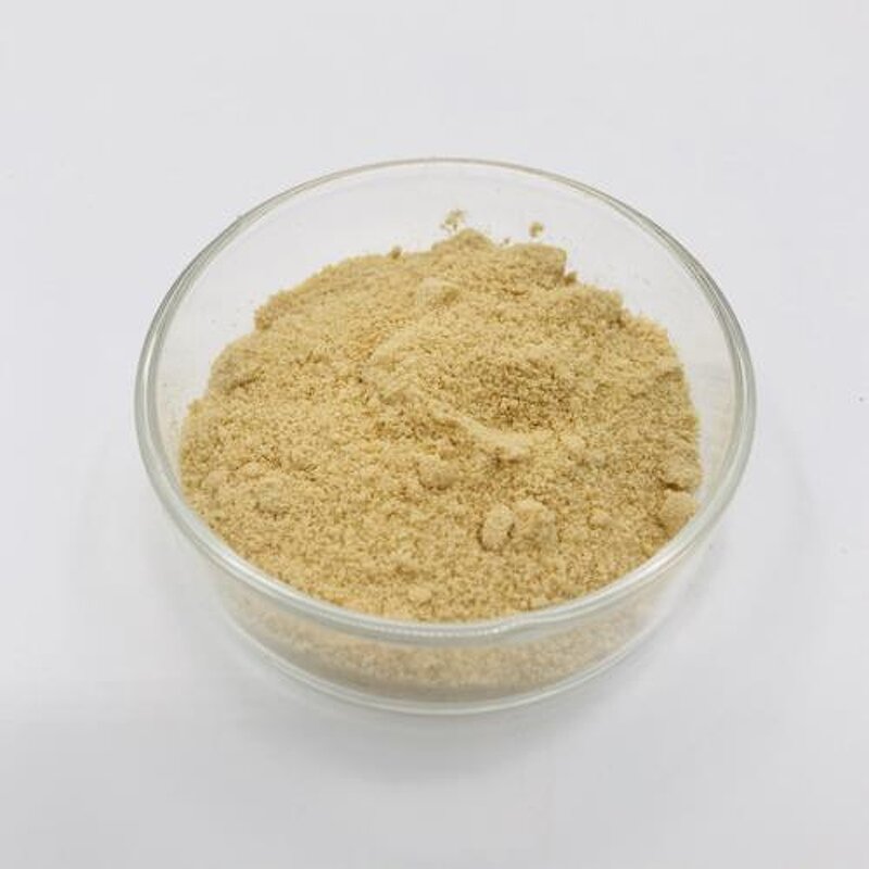 Phosphatidylserine Powder Manufacturer - PS 50% for Cognitive Enhancement & Brain Health