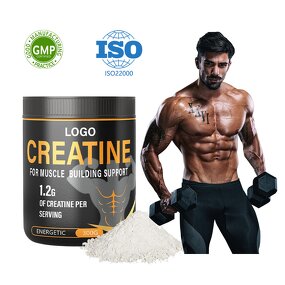 Creatine Monohydrate Manufacturer - Micronized Powder for Sports Supplements & OEM