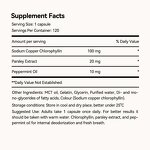 Vegan Chlorophyll Capsules Manufacturer - Organic Herbal Supplement for Body Odor, Gut & Skin Health
