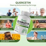 Quercetin Capsules Manufacturer - OEM Liposomal Plant Extract Herbal Supplements