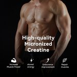 Creatine Monohydrate Powder Manufacturer - OEM Boxed Sports Supplement with Beta-Alanine