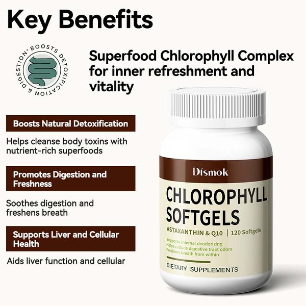 Chlorophyll Capsules Manufacturer - Anti-inflammatory, Digestive Support & Detox