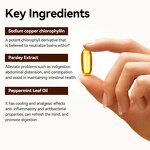 Vegan Chlorophyll Capsules Manufacturer - Organic Herbal Supplement for Body Odor, Gut & Skin Health
