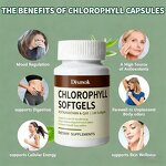 Chlorophyll Capsules Manufacturer - High Absorption, Non-GMO & Gluten Free