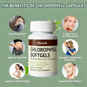 Chlorophyll Capsules Manufacturer - High Absorption, Non-GMO & Gluten Free