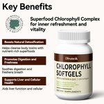 Vegan Chlorophyll Capsules Manufacturer - Organic Herbal Supplement for Body Odor, Gut & Skin Health