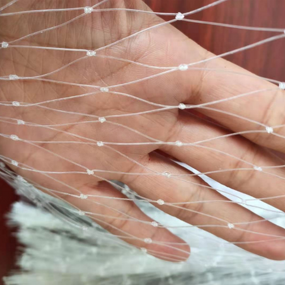 Green PP Plastic Trellis Net Manufacturer - 15x15cm Roll for Climbing Plants