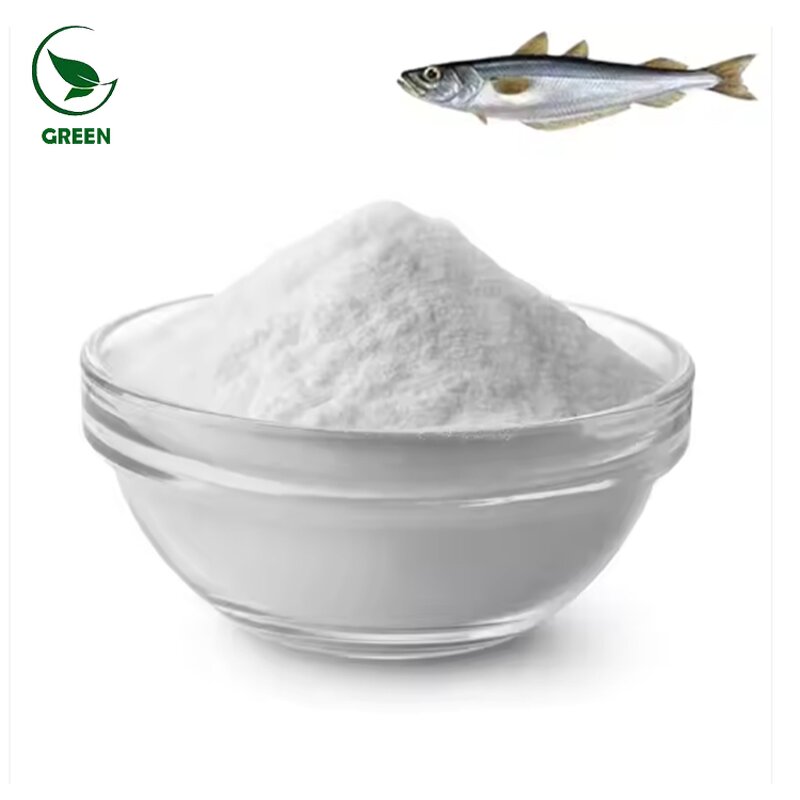 Fish Collagen Powder Manufacturer - Premium Quality Collagen Supplement