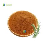 Rosemary Extract Manufacturer - 95%-98% Pure Rosmarinic Acid Powder