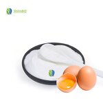 Egg Albumen Powder Manufacturer - Food Grade 99% Vacuum Packed